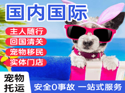 哈尔滨平房航空货运国际宠物托运 【国